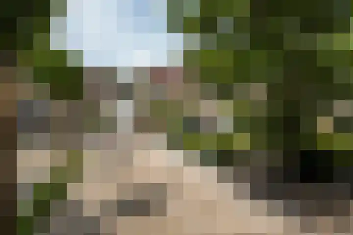 Kobbeflecht 74 Hurdegaryp thumbnail 40