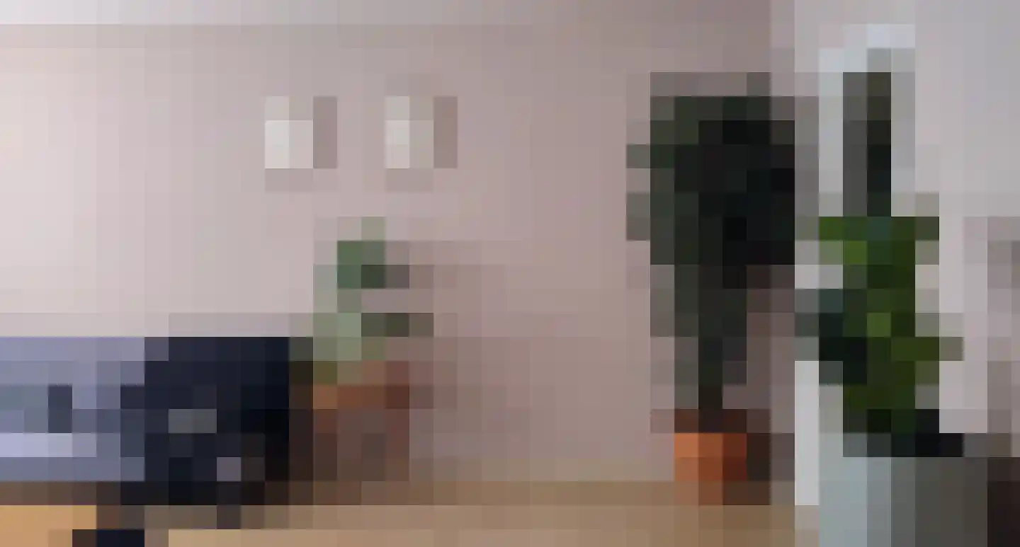 Kobbeflecht 8 Hurdegaryp thumbnail 12