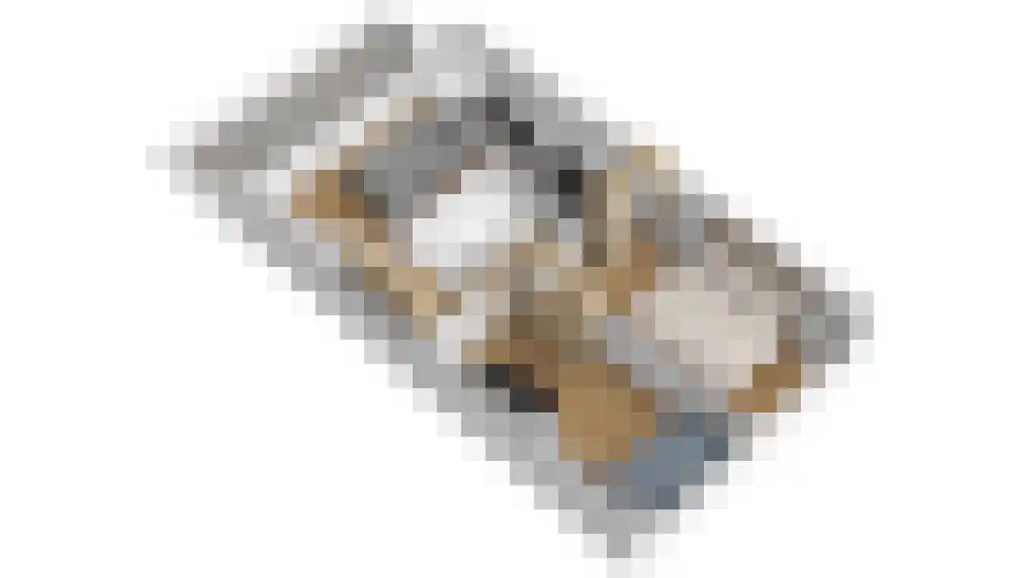 Kobbeflecht 8 Hurdegaryp thumbnail 20