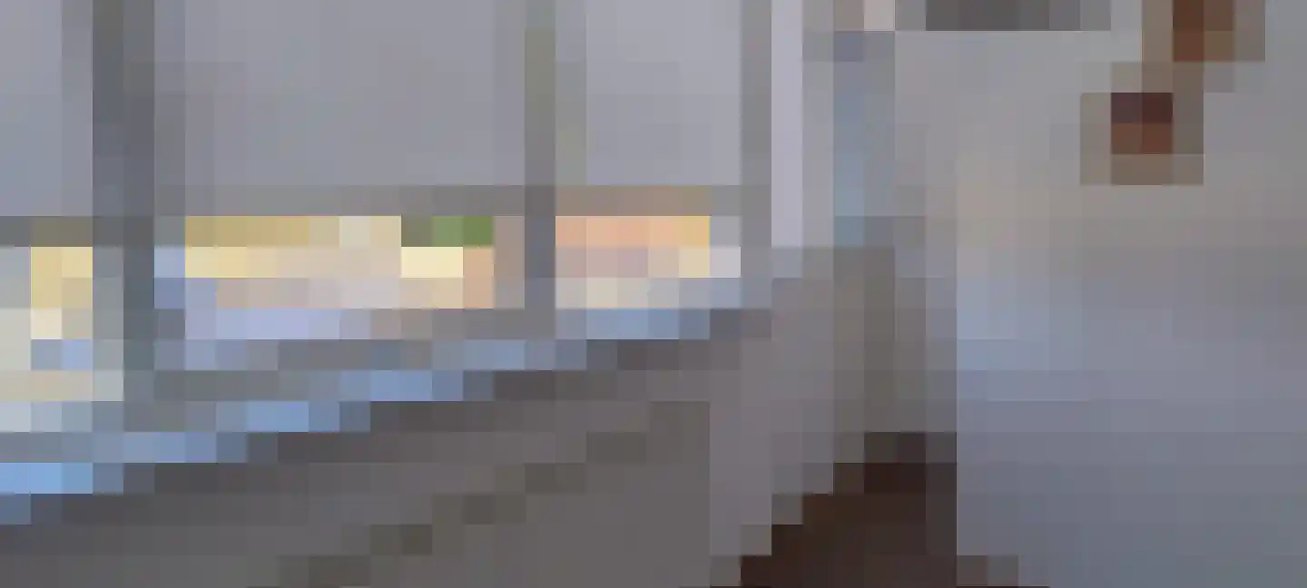 Kobbeflecht 8 Hurdegaryp thumbnail 27