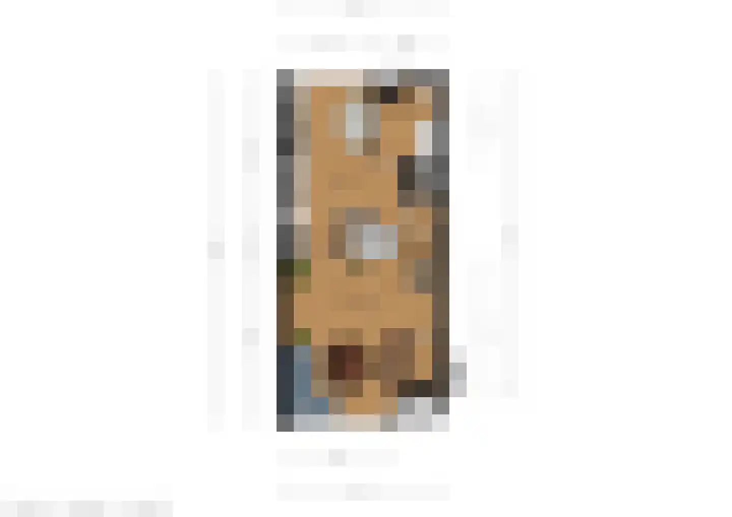 Kobbeflecht 8 Hurdegaryp thumbnail 30
