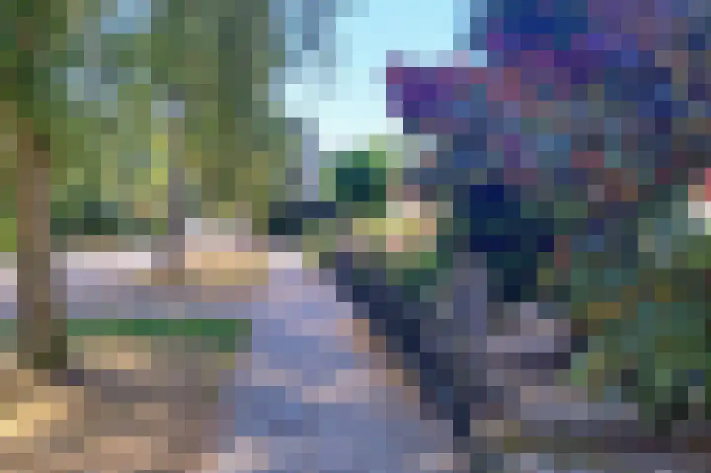 Kobbeflecht 8 Hurdegaryp thumbnail 4