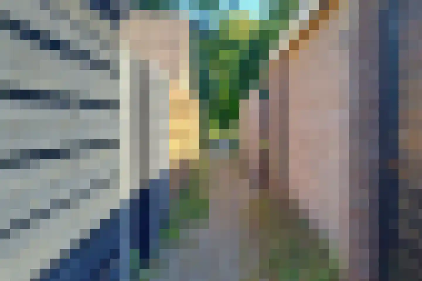 Kobbeflecht 8 Hurdegaryp thumbnail 5