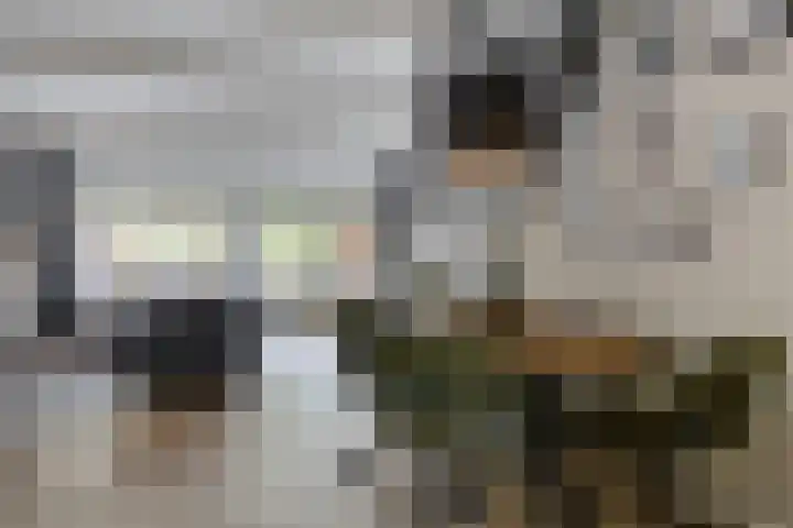 Kobbeflecht 83 Hurdegaryp thumbnail 11