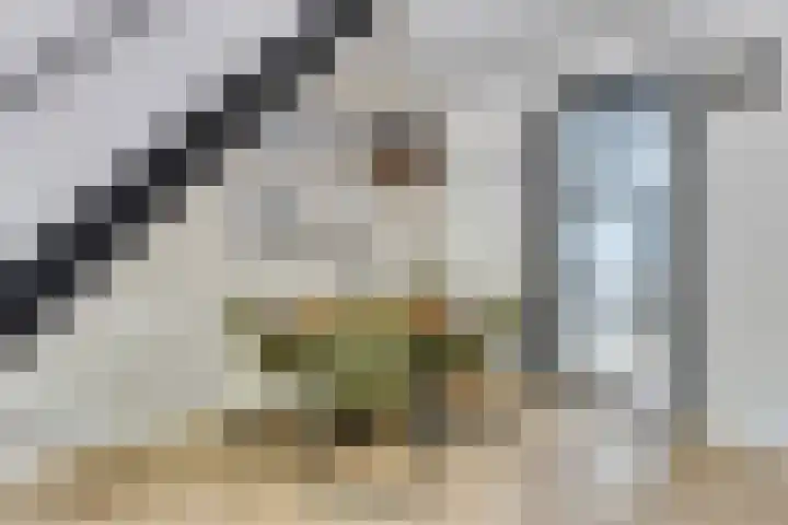 Kobbeflecht 83 Hurdegaryp thumbnail 12