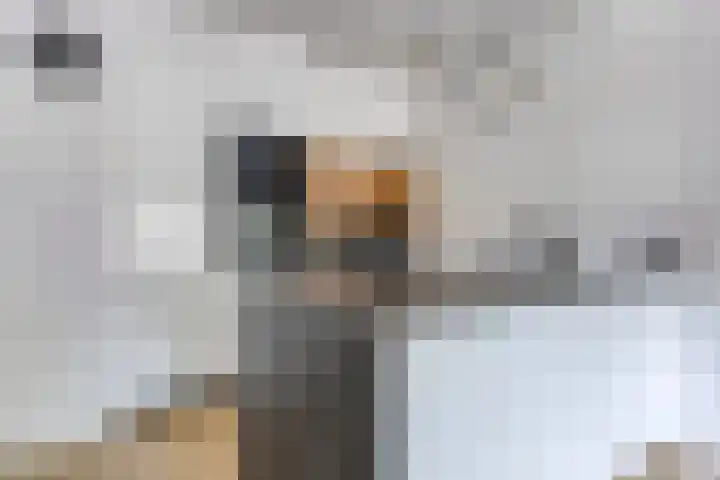 Kobbeflecht 83 Hurdegaryp thumbnail 13