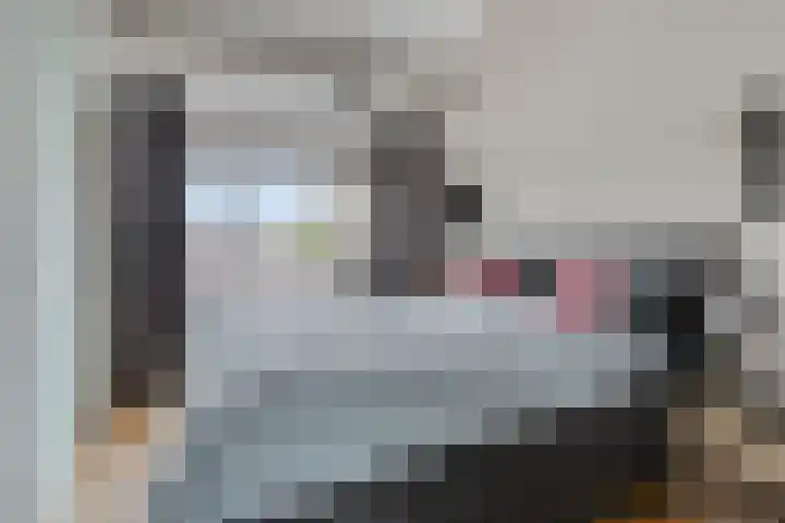 Kobbeflecht 83 Hurdegaryp thumbnail 20