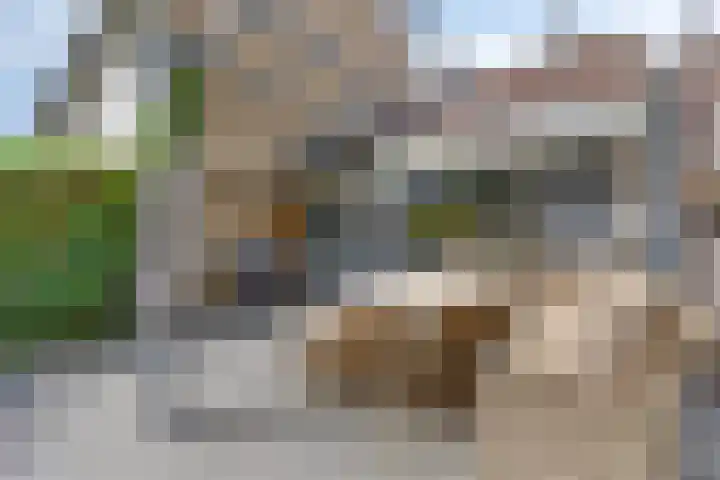 Kobbeflecht 83 Hurdegaryp thumbnail 26