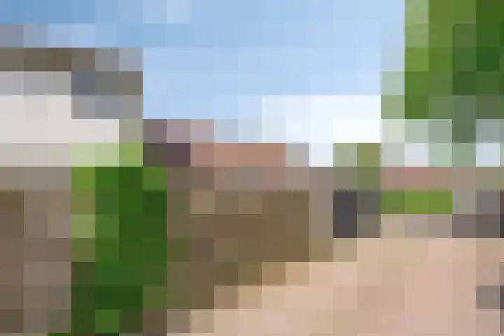 Kobbeflecht 83 Hurdegaryp thumbnail 30