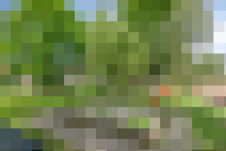 Kobbeflecht 83 Hurdegaryp thumbnail 31