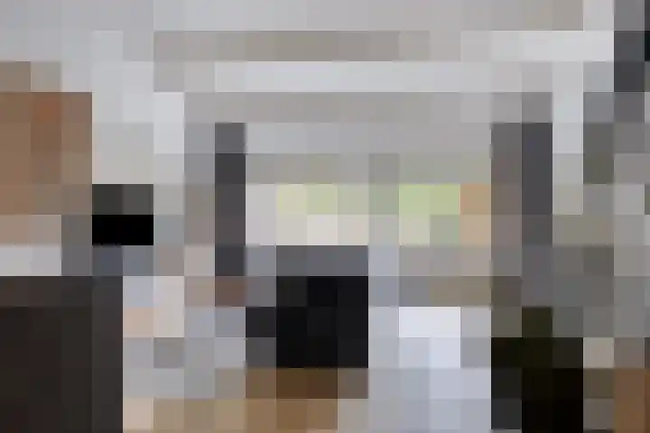 Kobbeflecht 83 Hurdegaryp thumbnail 6