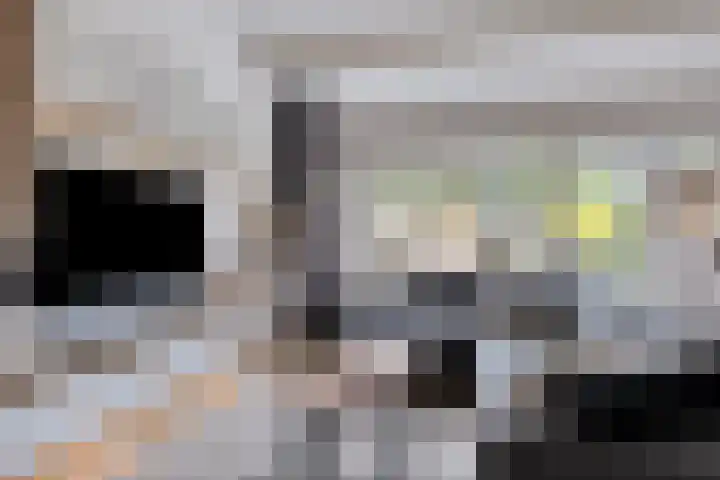 Kobbeflecht 83 Hurdegaryp thumbnail 7