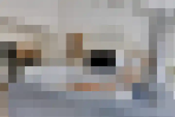 Kobbeflecht 83 Hurdegaryp thumbnail 8