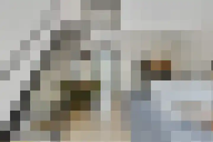 Kobbeflecht 83 Hurdegaryp thumbnail 9