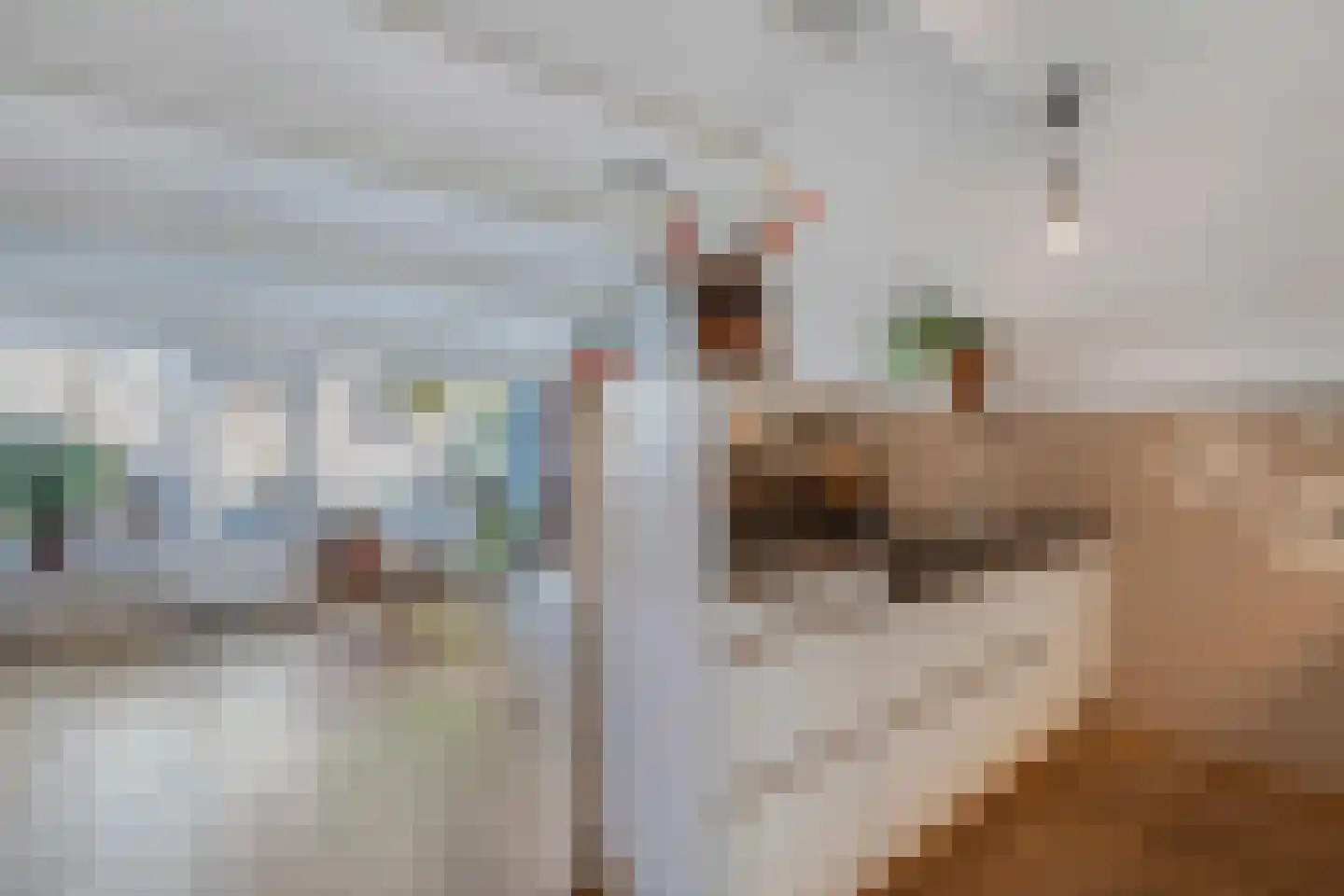 Kobbeflecht 99 Hurdegaryp thumbnail 10