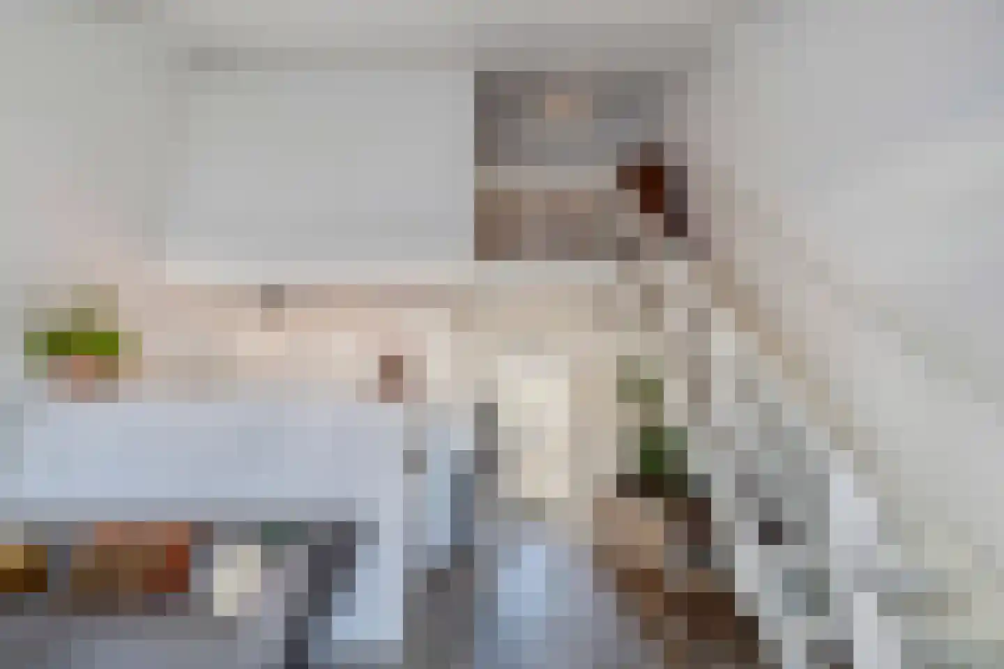 Kobbeflecht 99 Hurdegaryp thumbnail 13