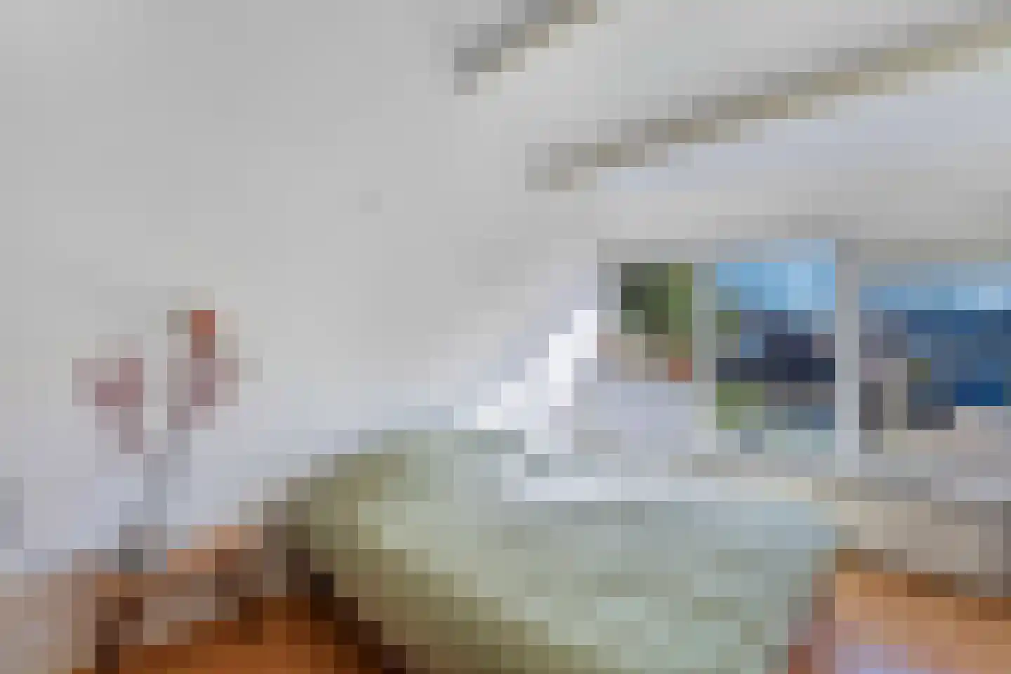 Kobbeflecht 99 Hurdegaryp thumbnail 14