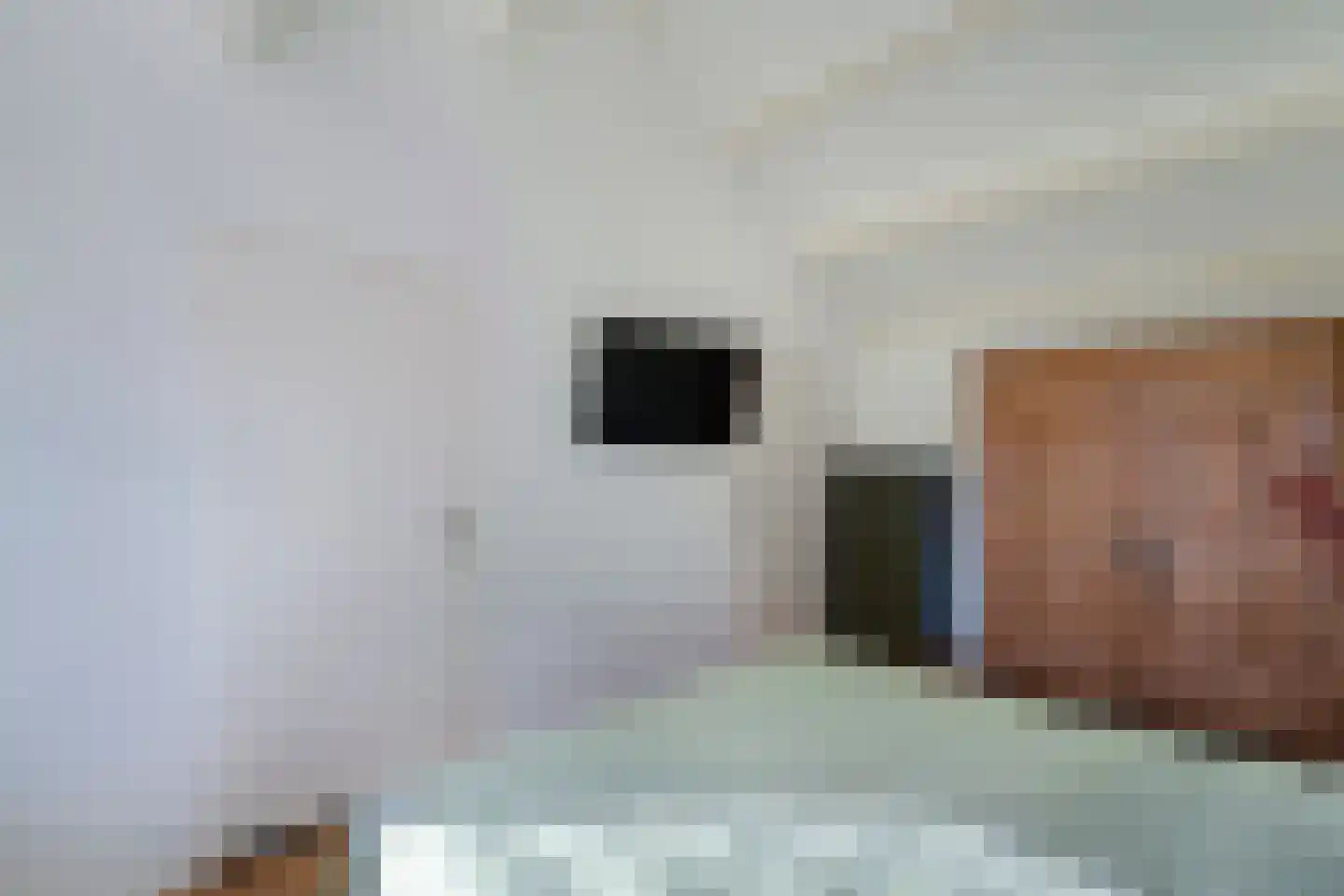 Kobbeflecht 99 Hurdegaryp thumbnail 16