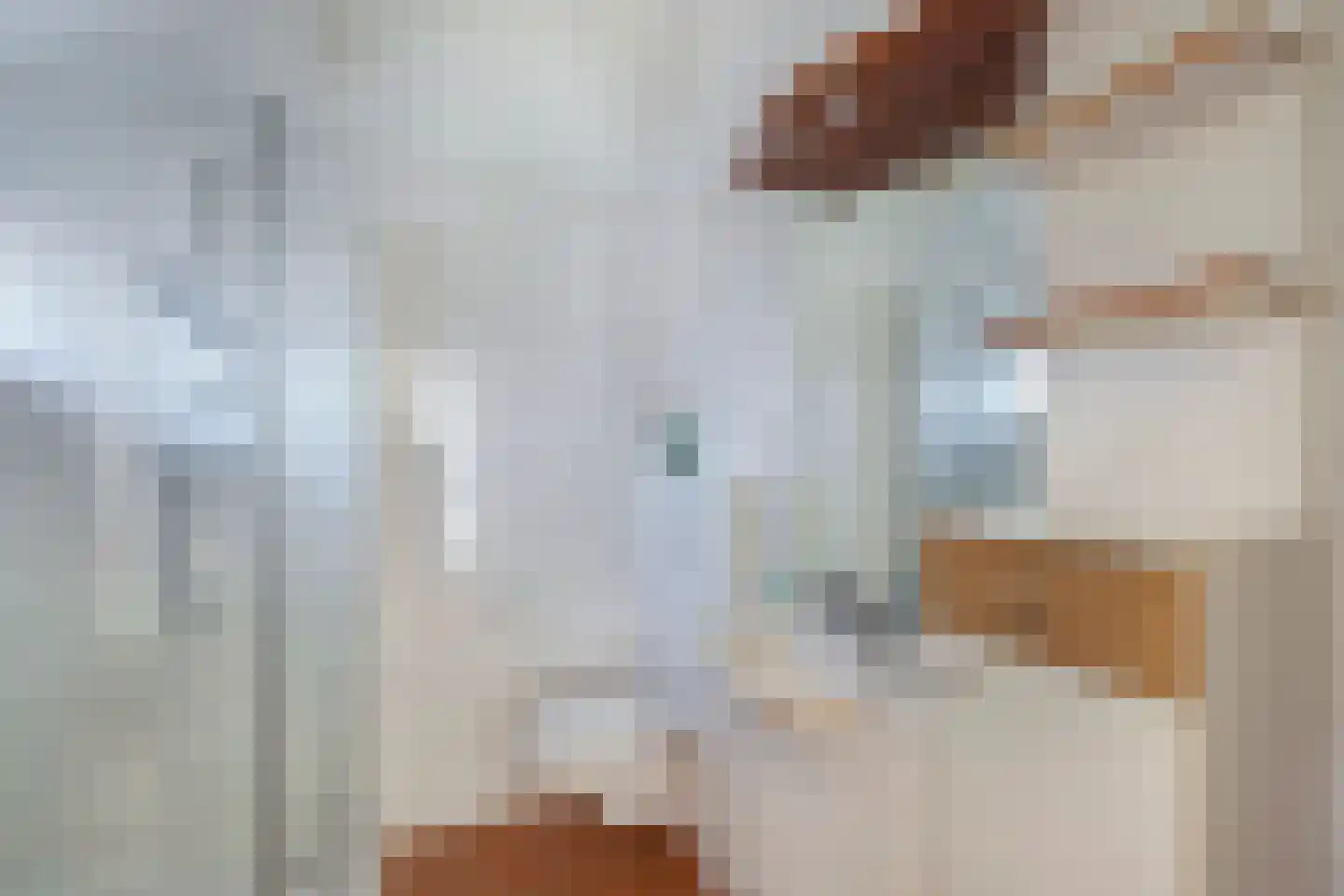Kobbeflecht 99 Hurdegaryp thumbnail 17