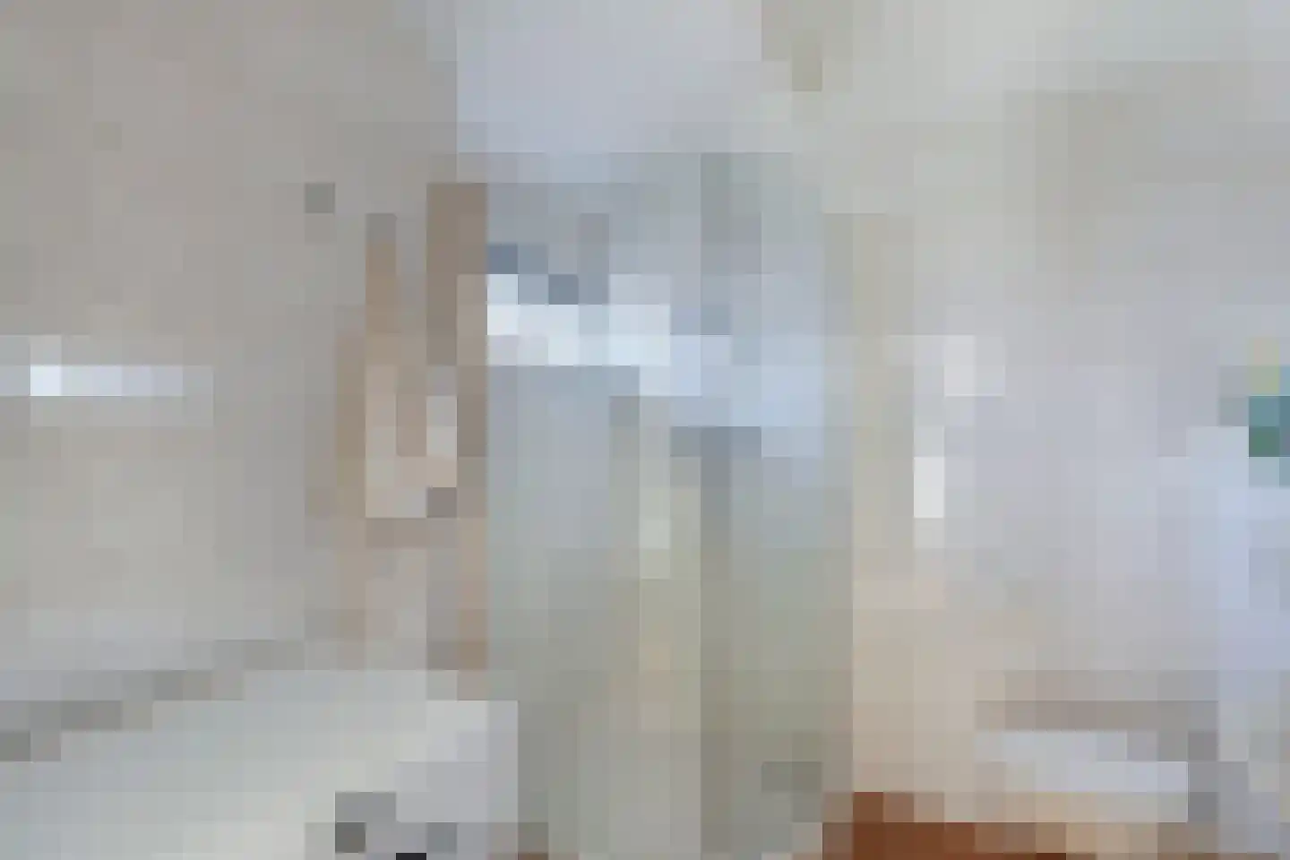 Kobbeflecht 99 Hurdegaryp thumbnail 18