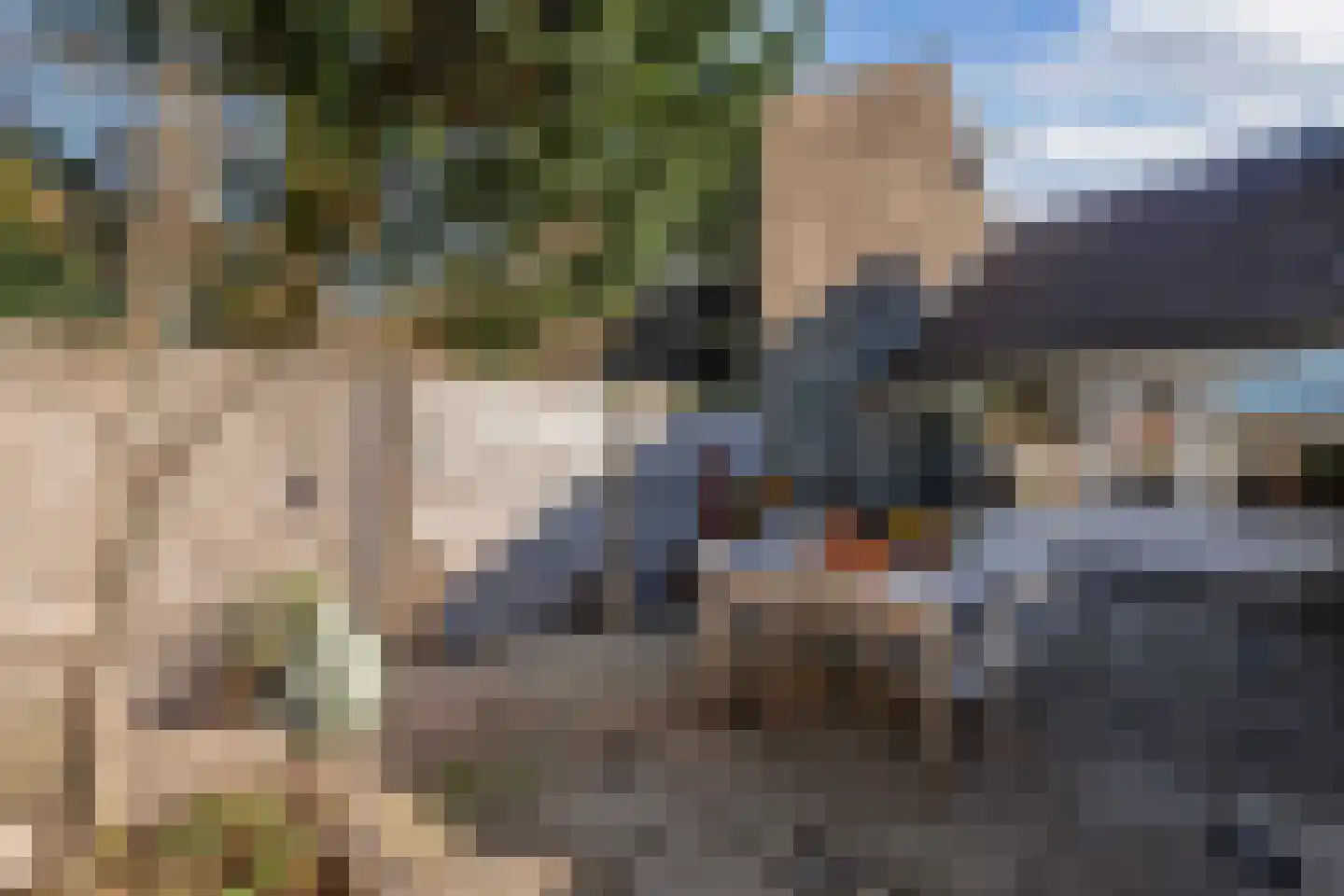 Kobbeflecht 99 Hurdegaryp thumbnail 20