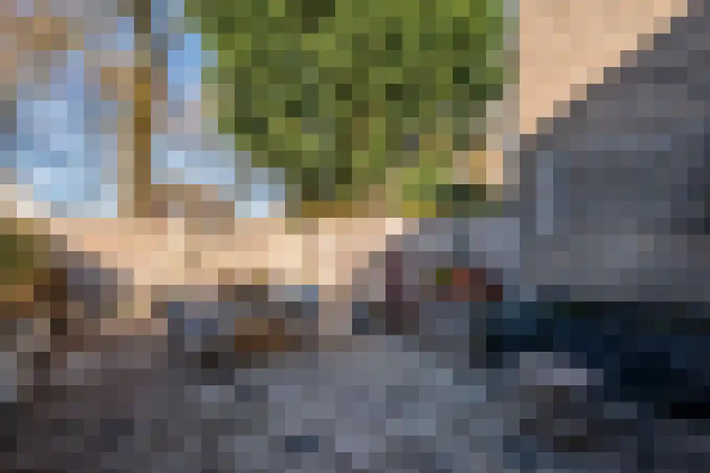 Kobbeflecht 99 Hurdegaryp thumbnail 21