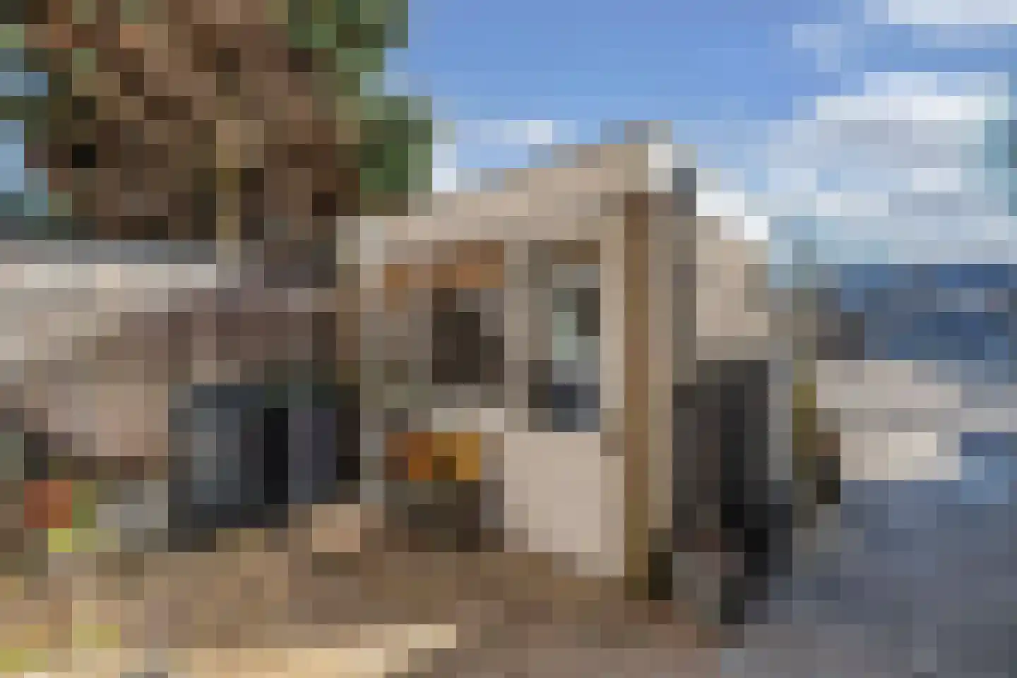 Kobbeflecht 99 Hurdegaryp thumbnail 22