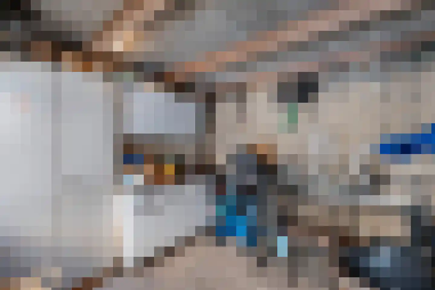 Kobbeflecht 99 Hurdegaryp thumbnail 23
