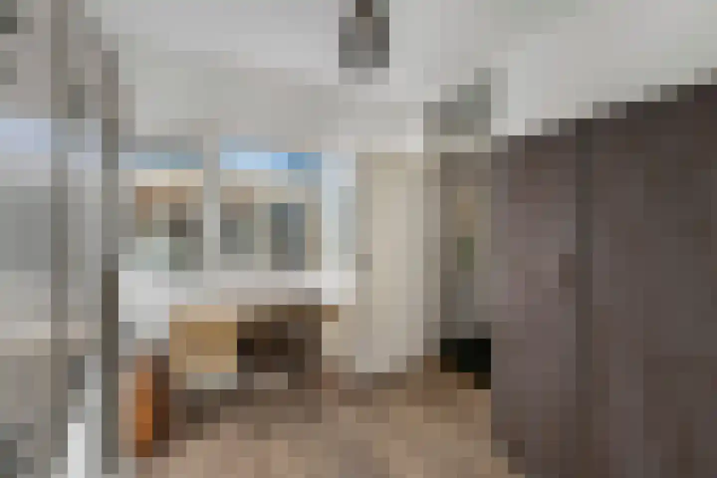 Kobbeflecht 99 Hurdegaryp thumbnail 5