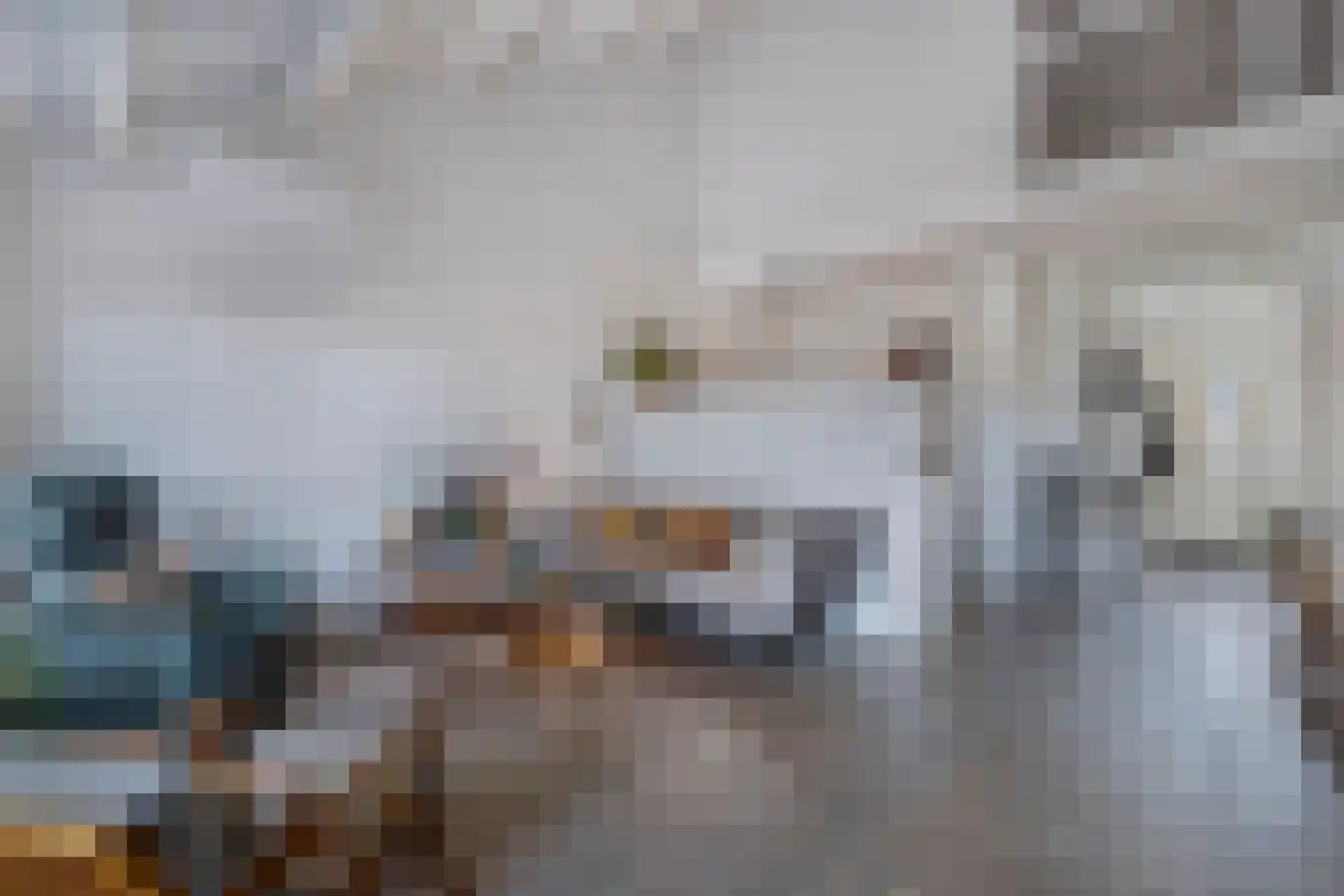 Kobbeflecht 99 Hurdegaryp thumbnail 6
