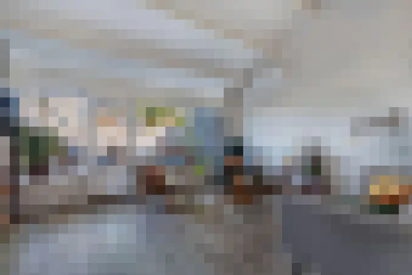Kobbeflecht 99 Hurdegaryp thumbnail 7