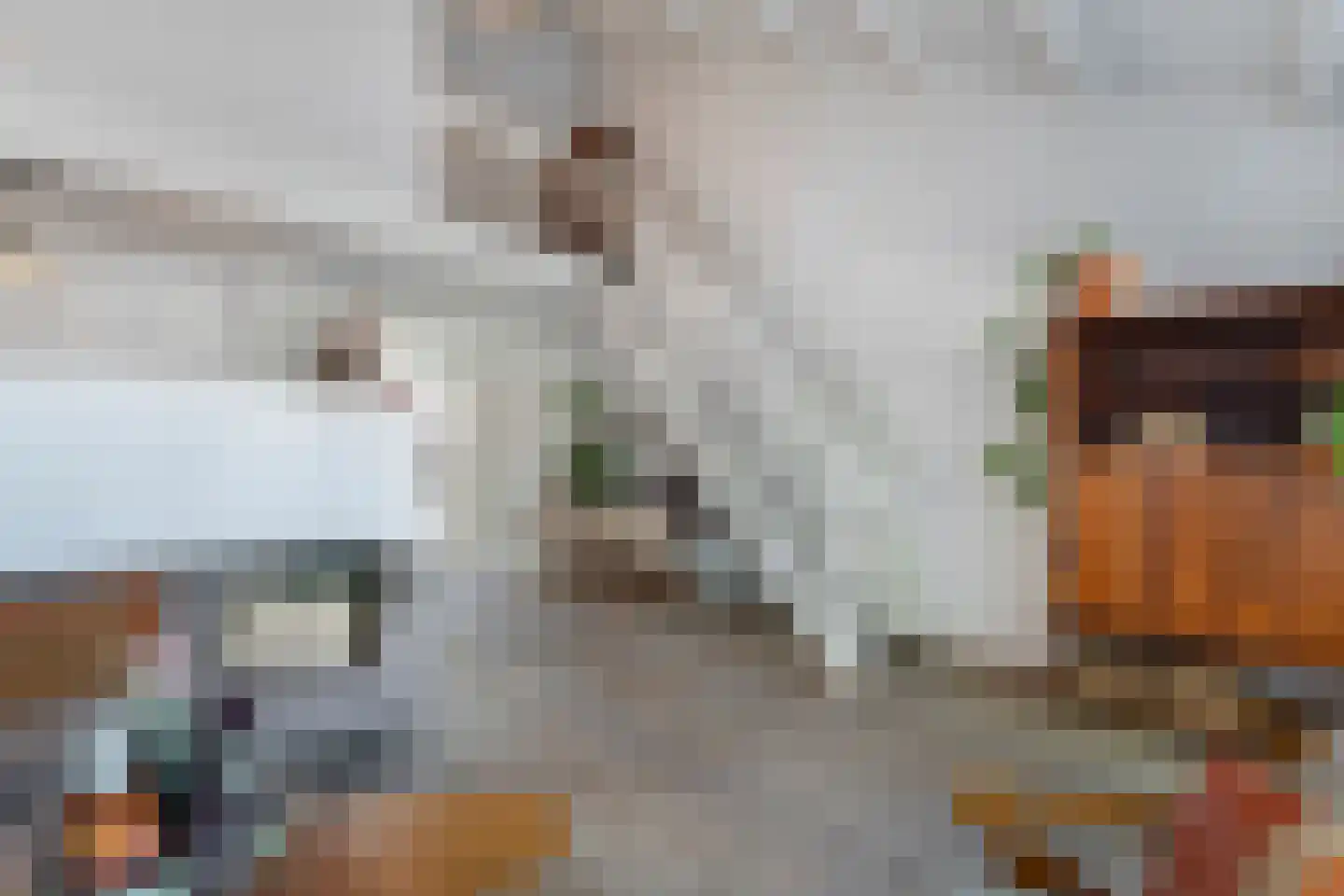 Kobbeflecht 99 Hurdegaryp thumbnail 8