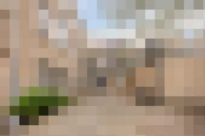 Kobelaan 108 Rotterdam thumbnail 15