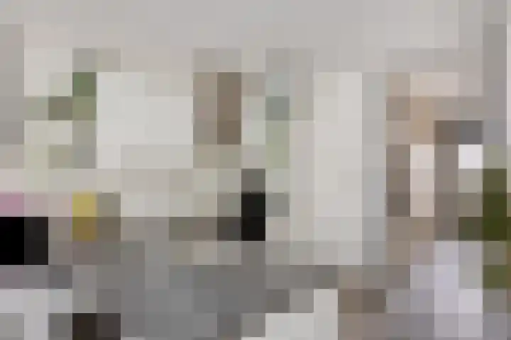 Kobelaan 108 Rotterdam thumbnail 4