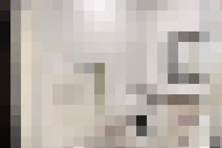 Kobelaan 108 Rotterdam thumbnail 8