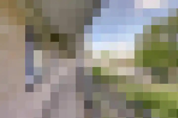 Kobelaan 162 Rotterdam thumbnail 24