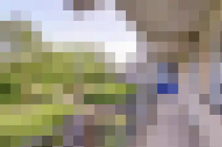 Kobelaan 162 Rotterdam thumbnail 25