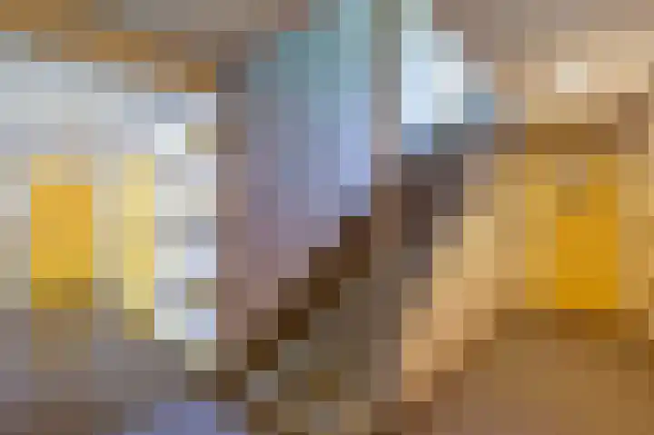 Kobelaan 162 Rotterdam thumbnail 26