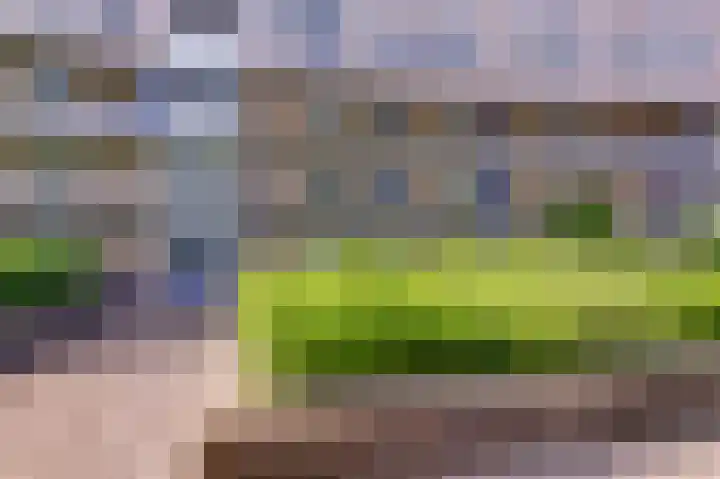 Kobelaan 162 Rotterdam thumbnail 28