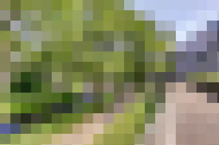 Kobelaan 162 Rotterdam thumbnail 37