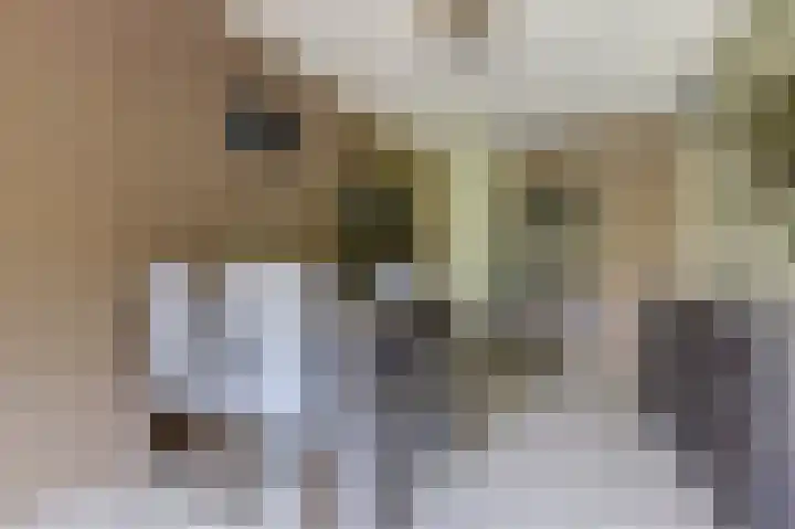 Kobelaan 162 Rotterdam thumbnail 8