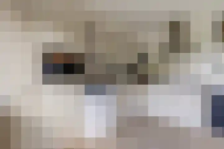Kobelaan 162 Rotterdam thumbnail 9