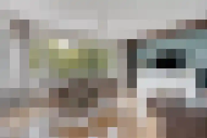 Kobelaan 18 Rotterdam thumbnail 10