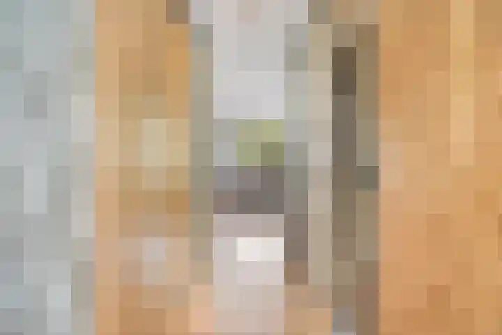 Kobelaan 18 Rotterdam thumbnail 8