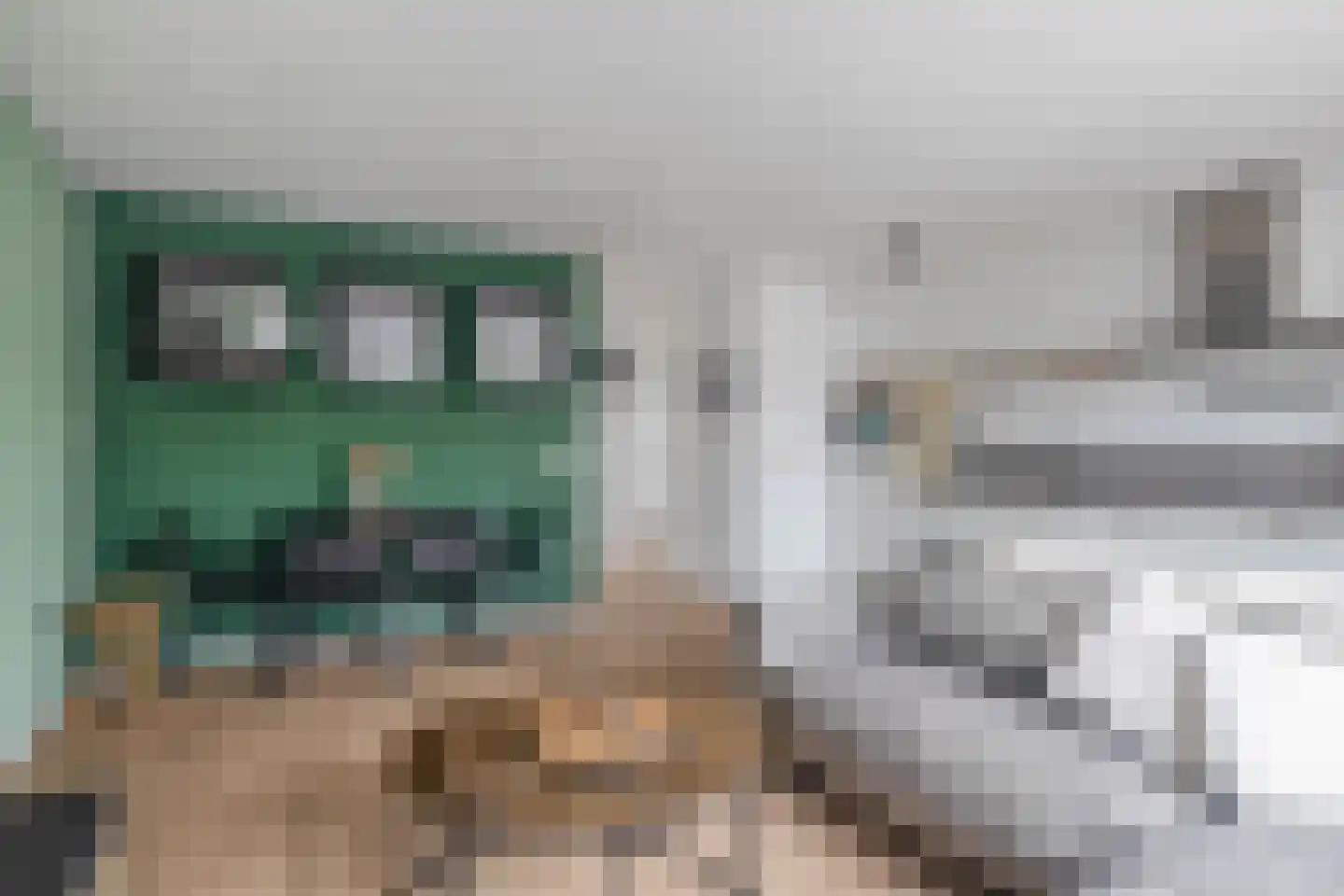 Kobelaan 19 Rotterdam thumbnail 16