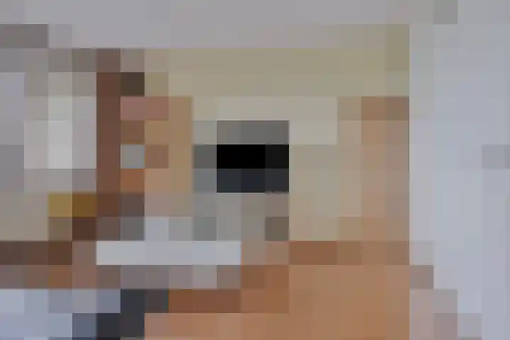 Kobelaan 200 Rotterdam thumbnail 13