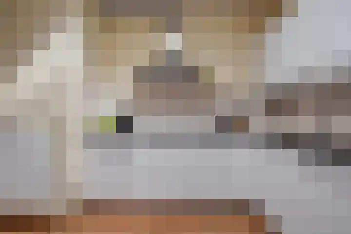 Kobelaan 200 Rotterdam thumbnail 14
