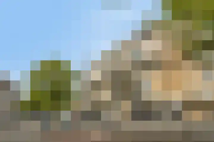 Kobelaan 200 Rotterdam thumbnail 7