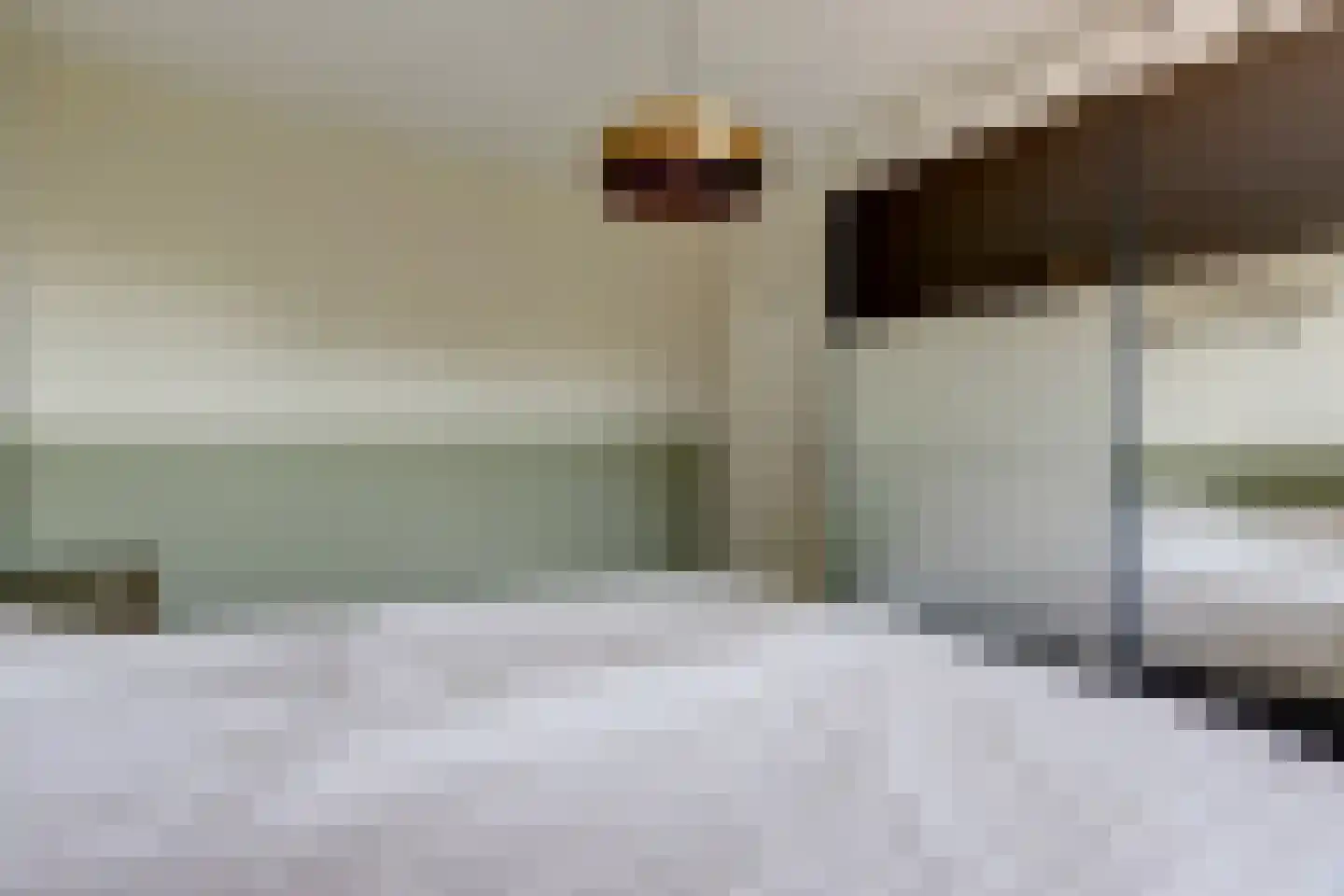 Kobelaan 236 Rotterdam thumbnail 16