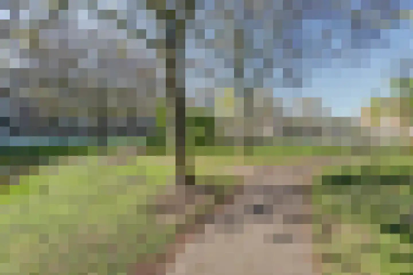 Kobelaan 236 Rotterdam thumbnail 25